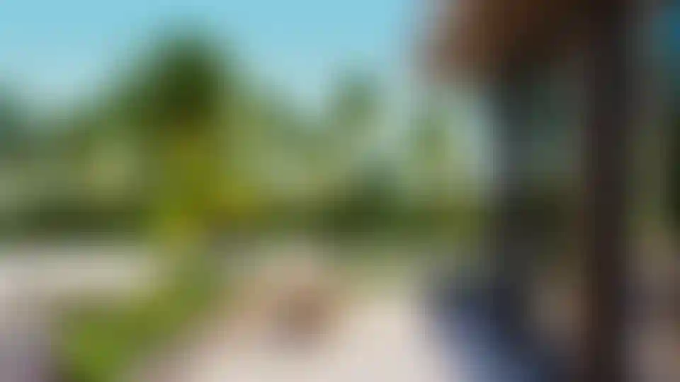 image for main block