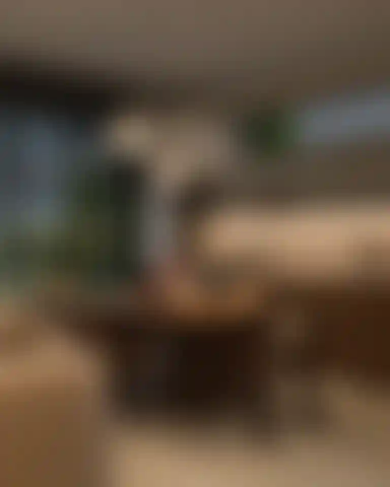 image for main block