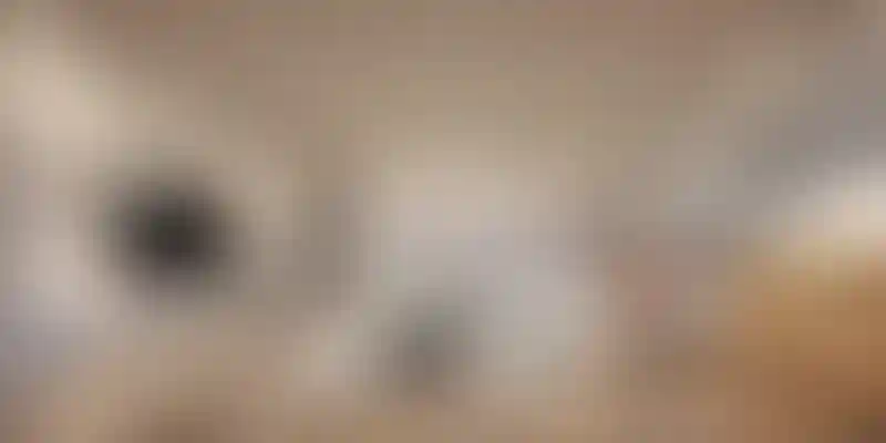 image for main block