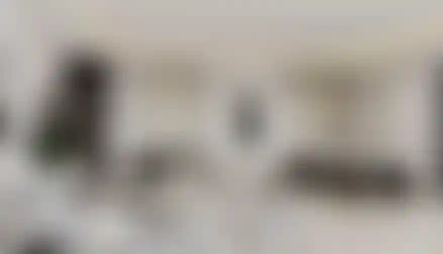 image for main block