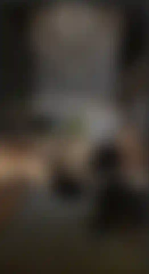 image for main block