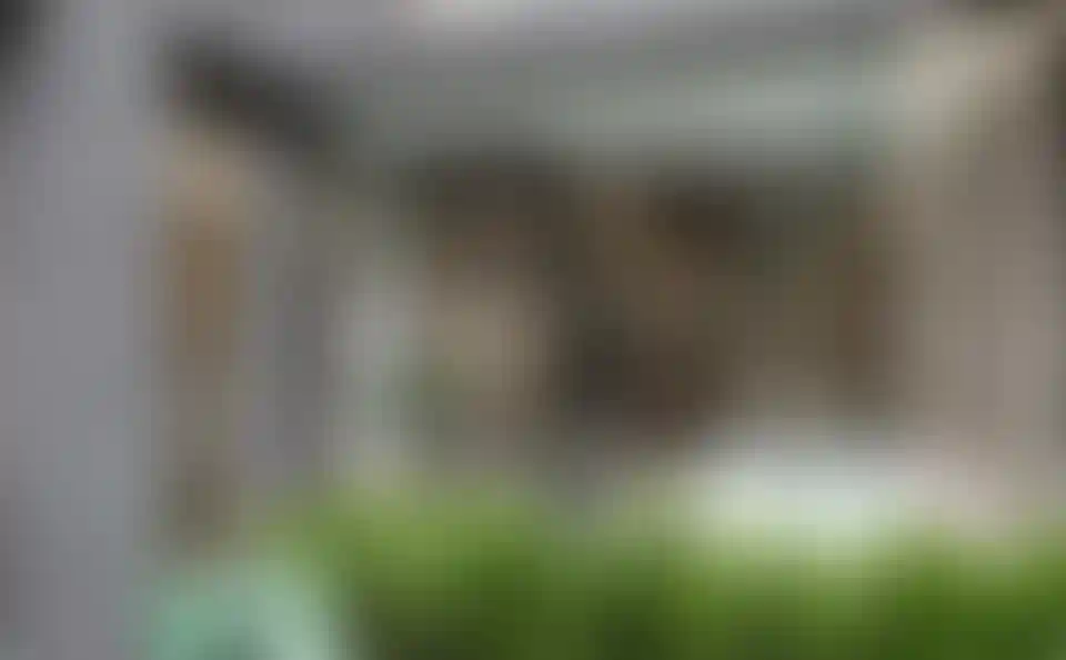 image for main block