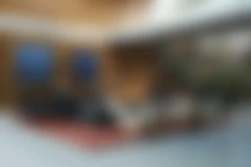 image for main block