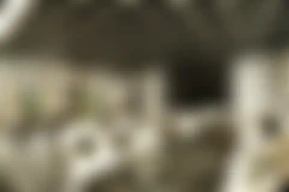 image for main block
