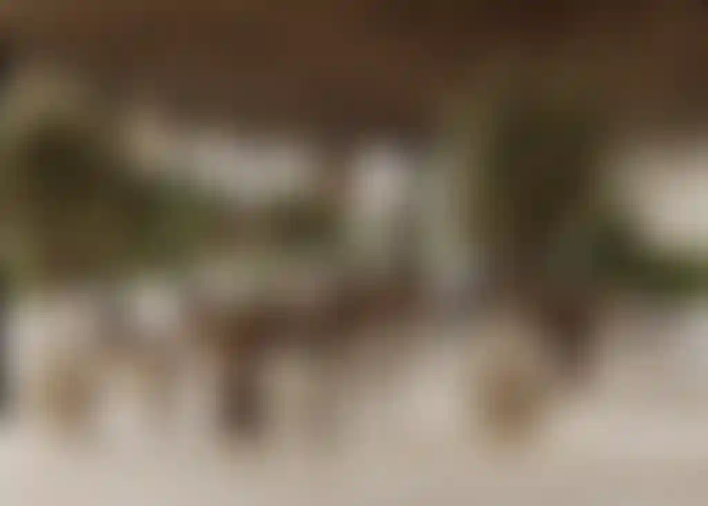 image for main block