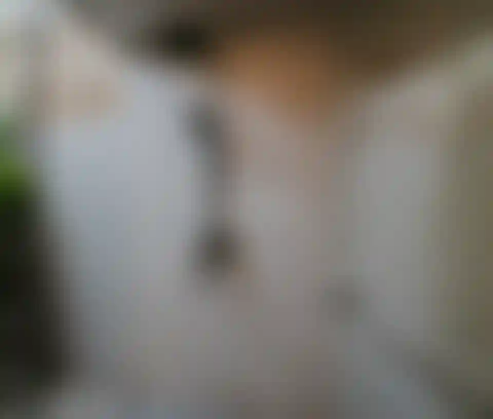 image for main block