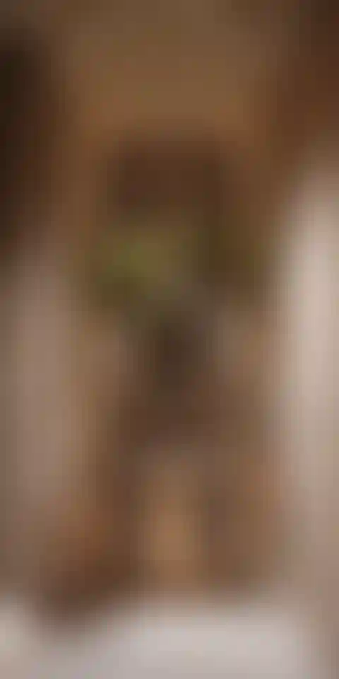 image for main block