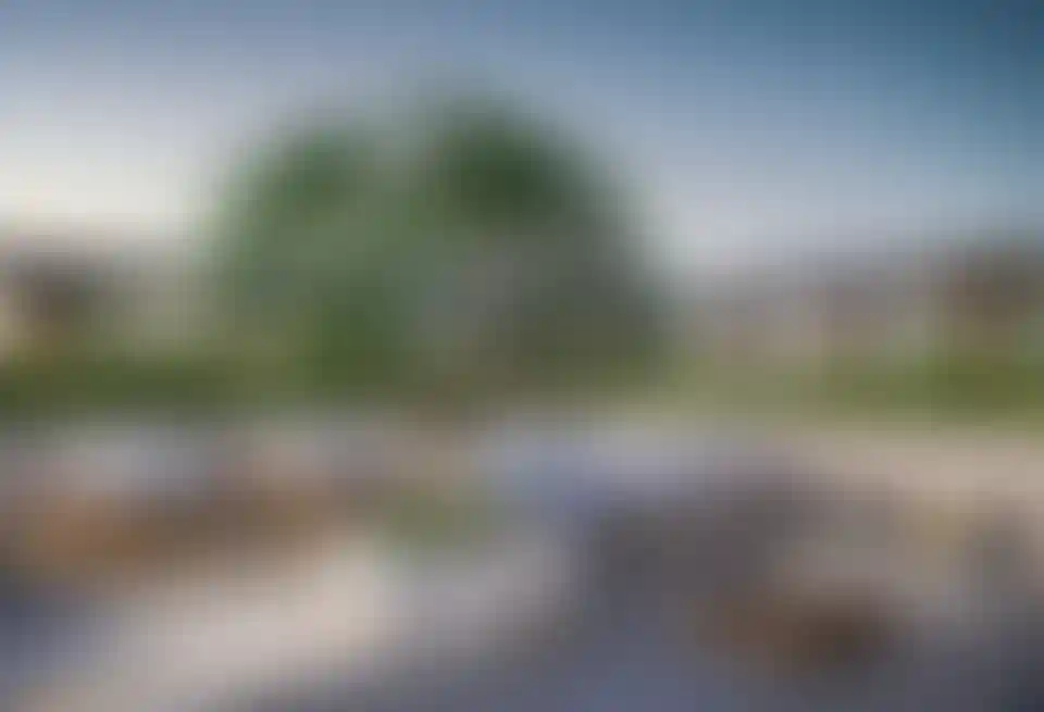 image for main block