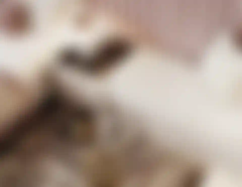 image for main block