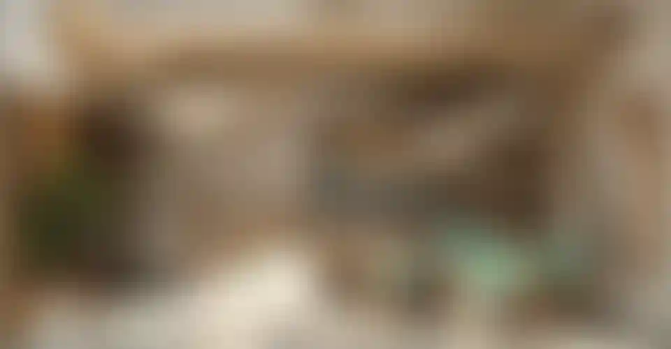 image for main block