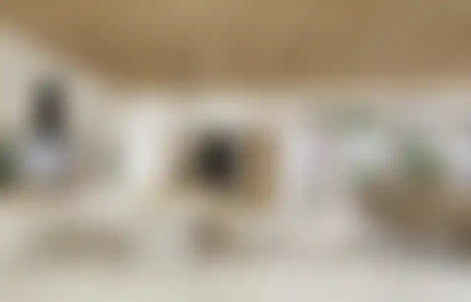 image for main block