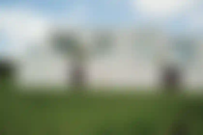 image for main block