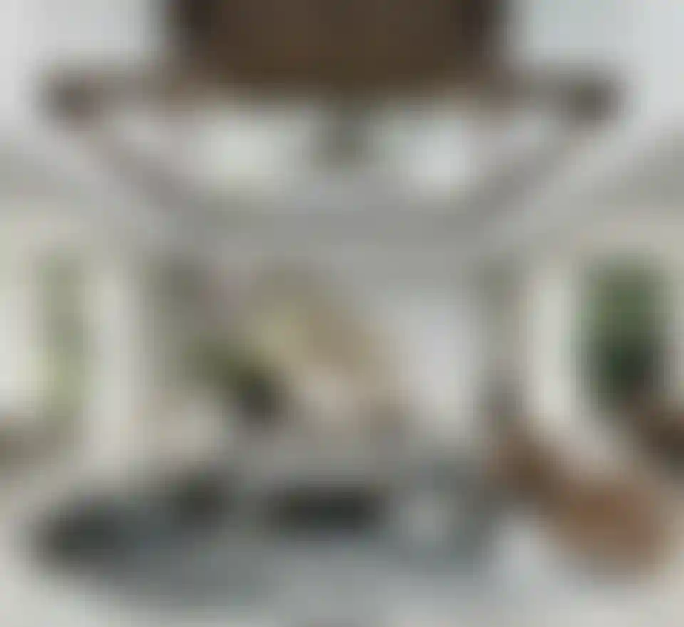 image for main block