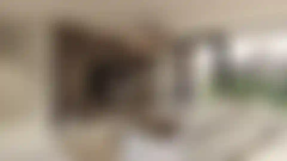 image for main block