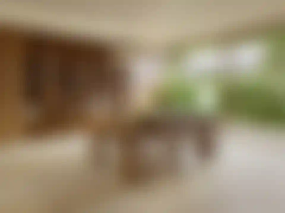 image for main block