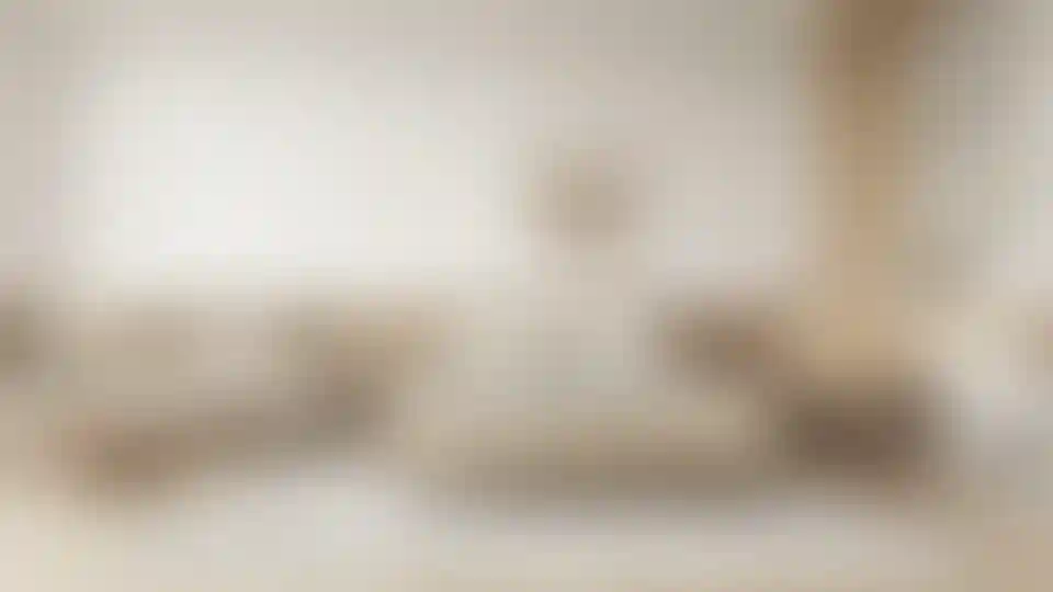 image for main block