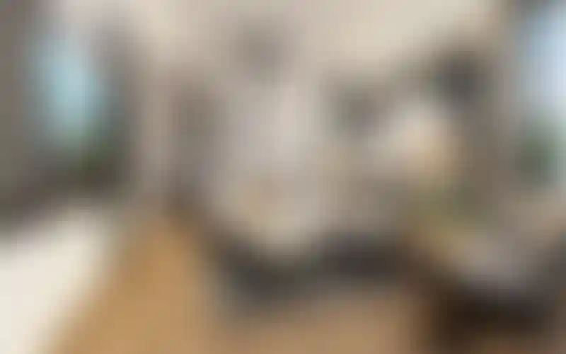 image for main block