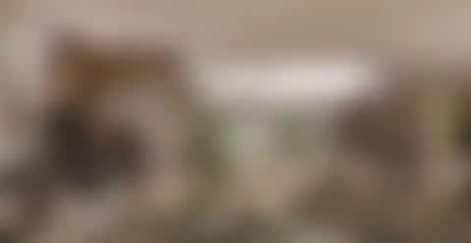 image for main block