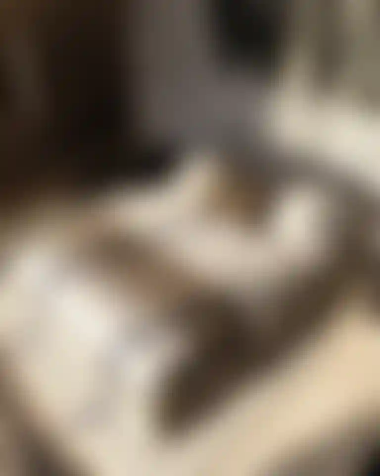 image for main block