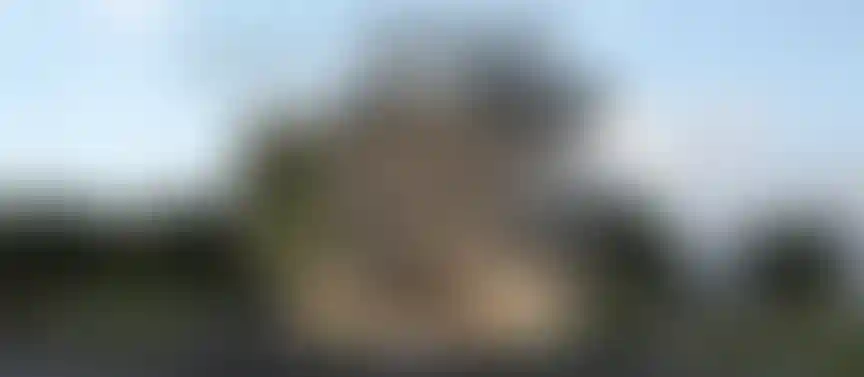 image for main block