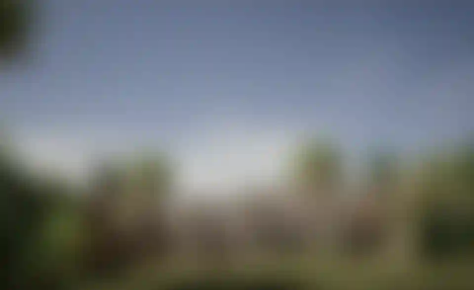 image for main block