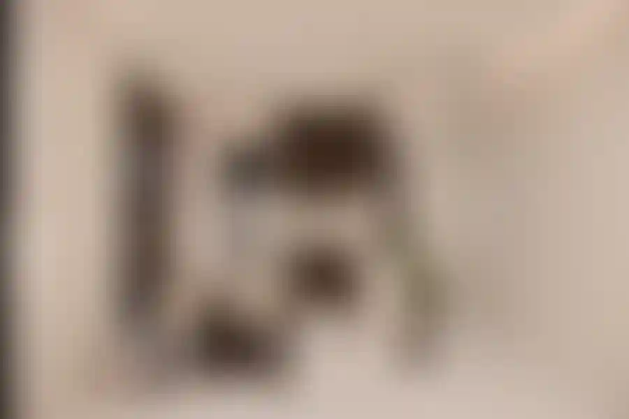 image for main block