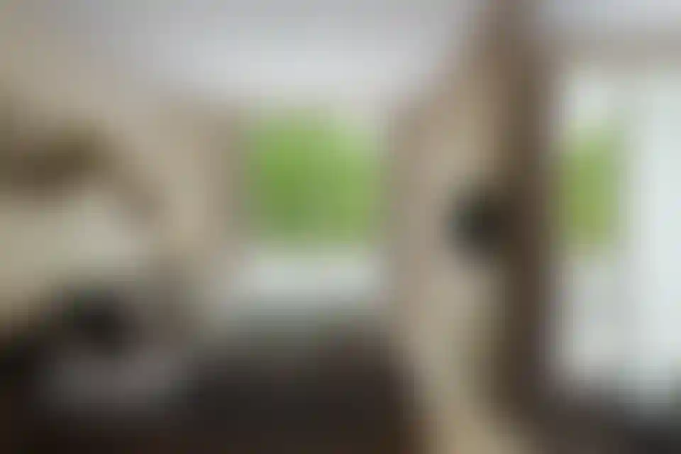 image for main block