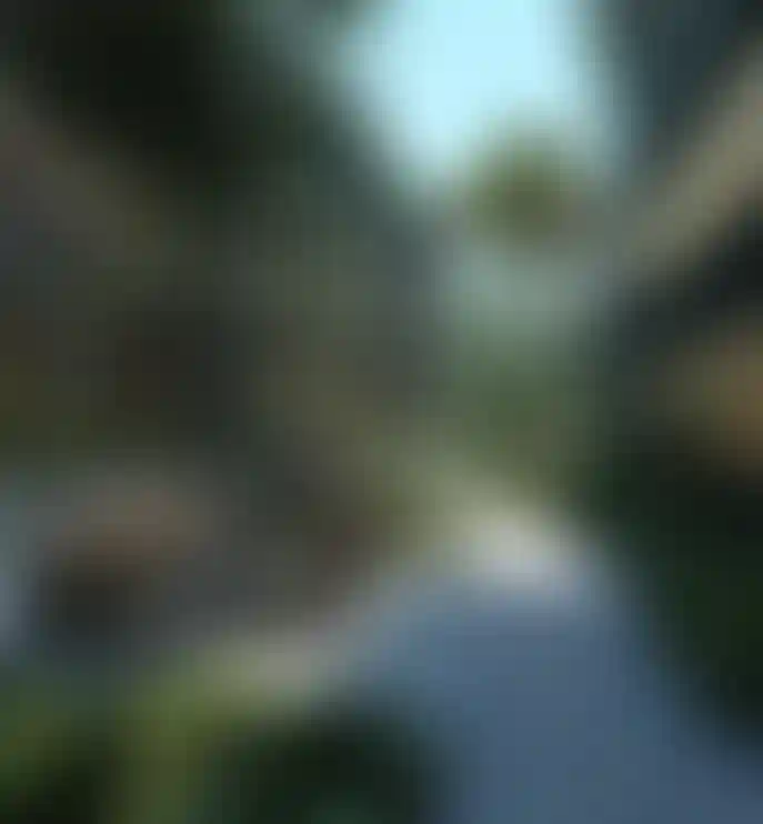 image for main block