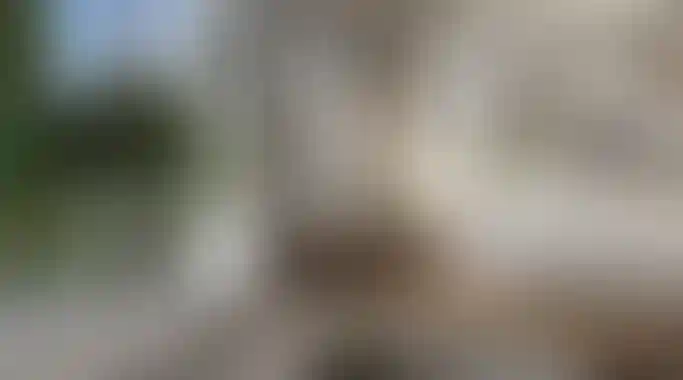 image for main block