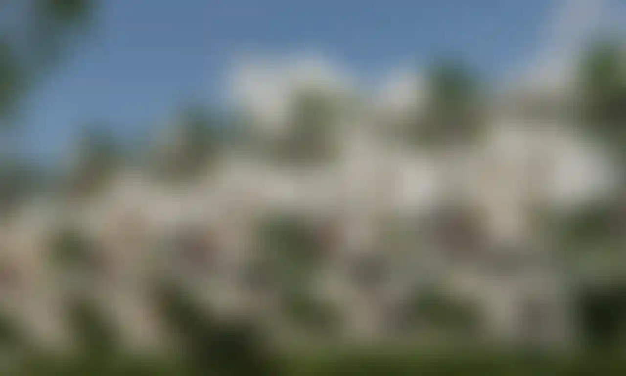 image for main block