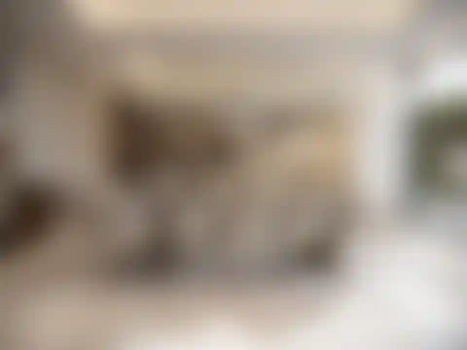 image for main block