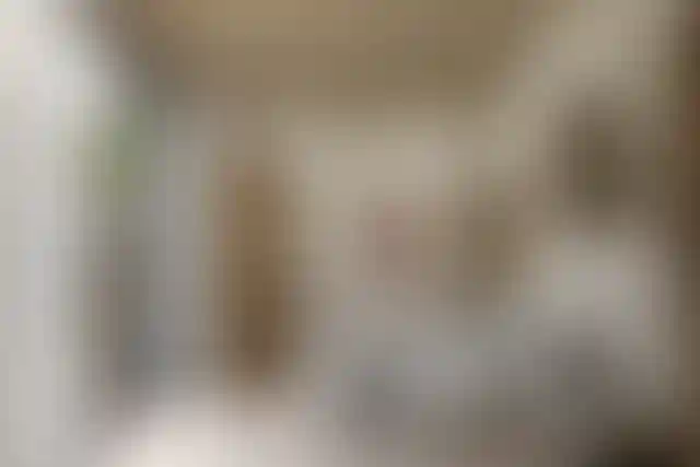 image for main block