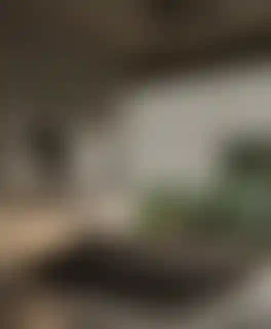 image for main block