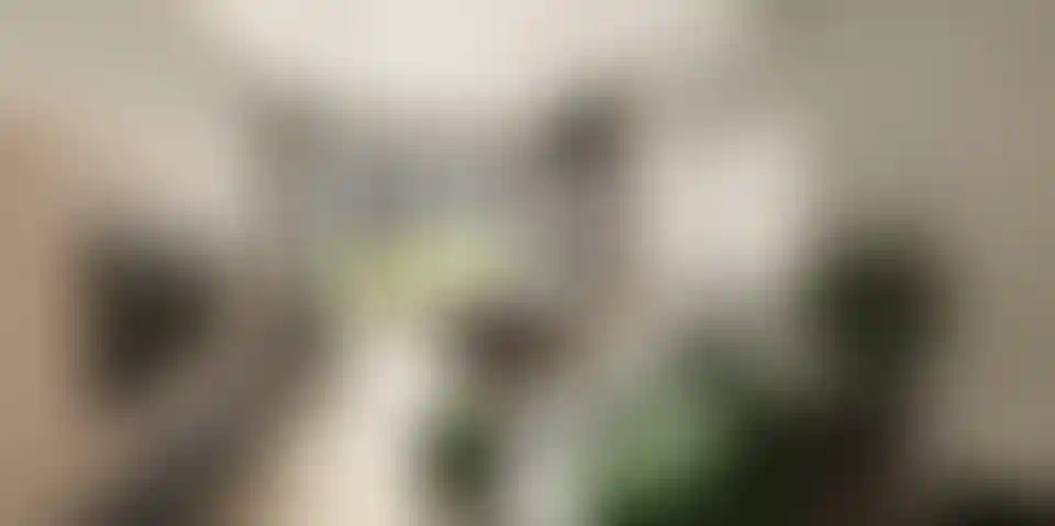 image for main block