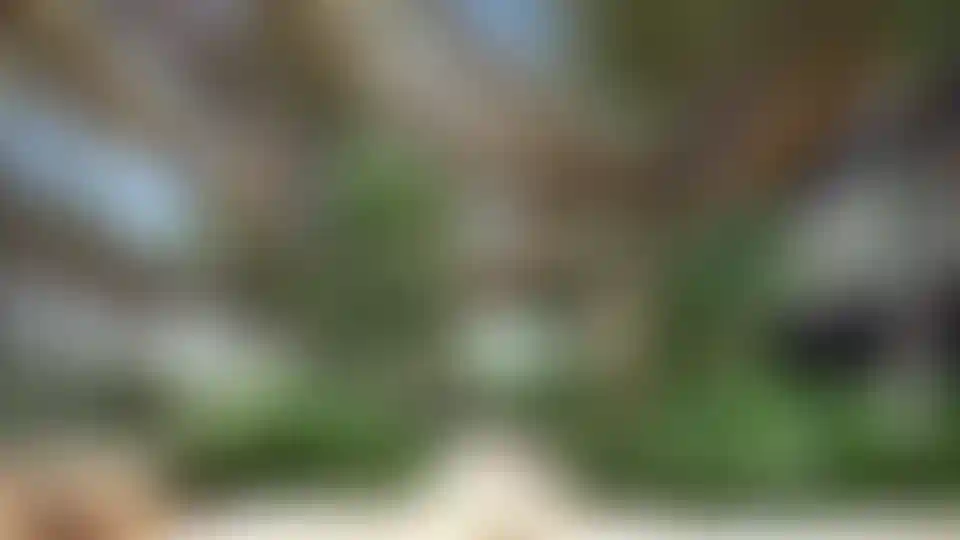 image for main block