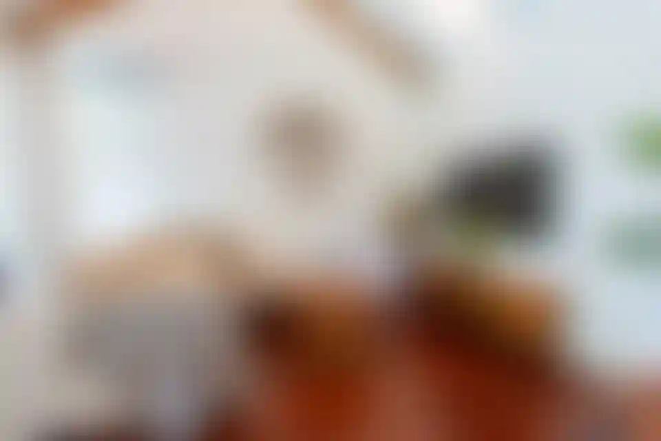 image for main block