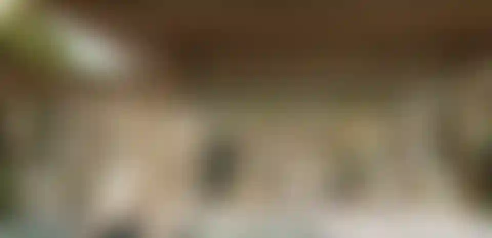 image for main block