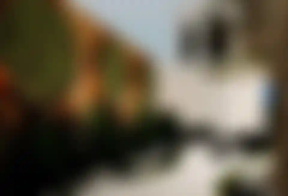 image for main block