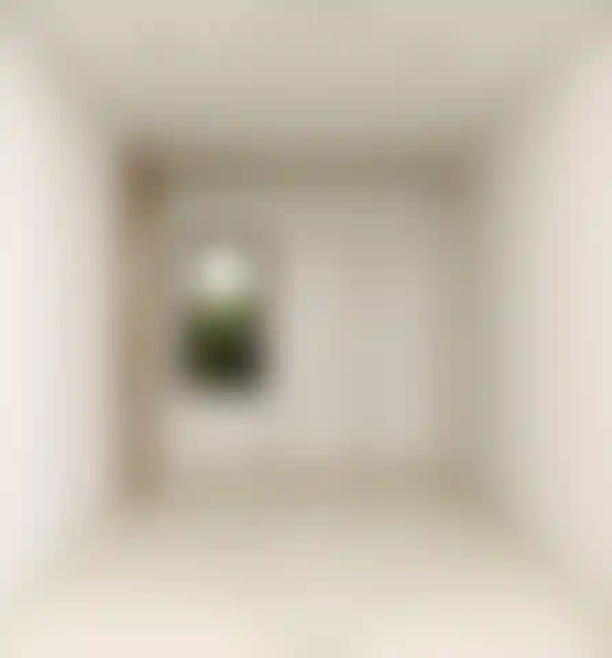 image for main block