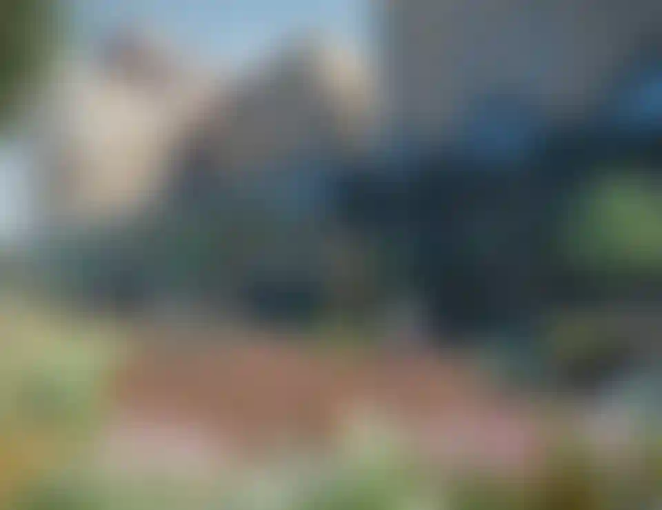 image for main block