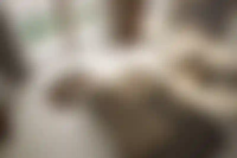 image for main block