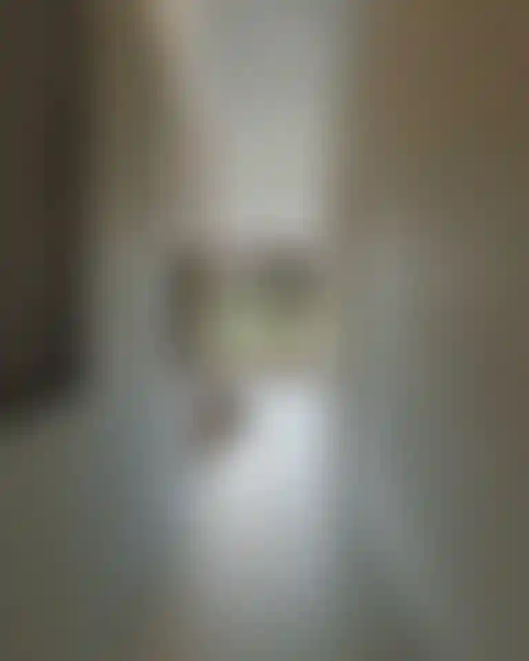 image for main block