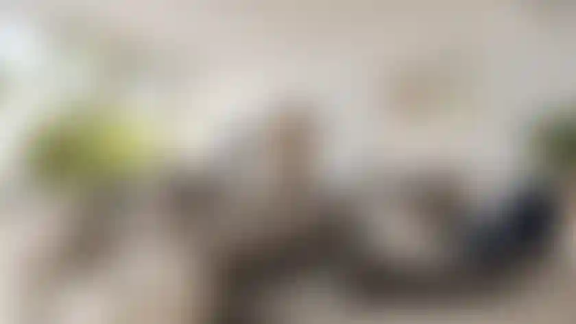 image for main block