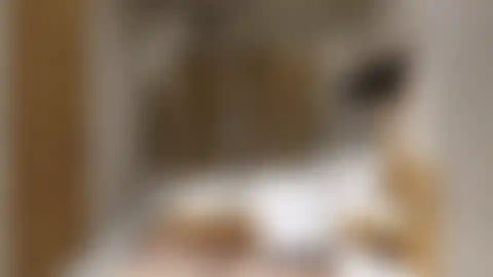 image for main block