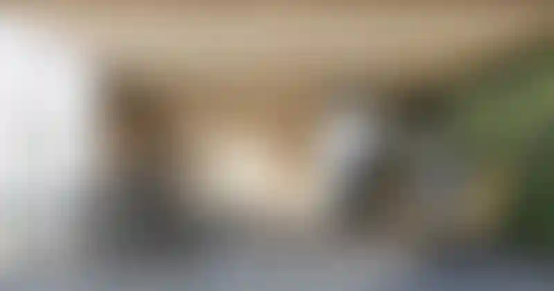 image for main block