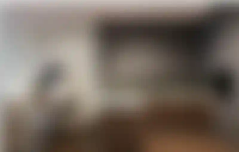 image for main block