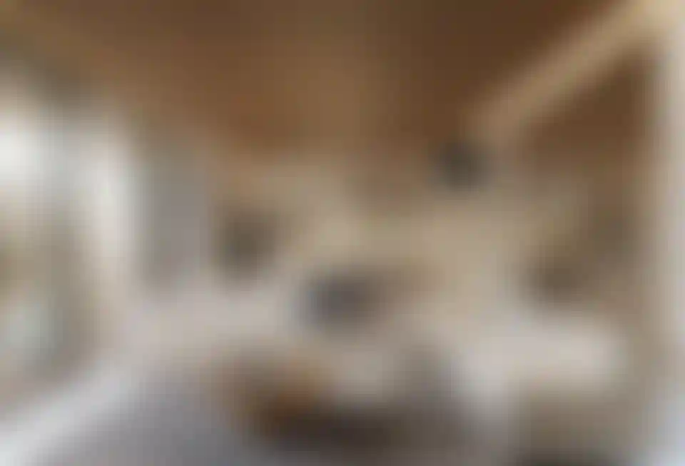 image for main block