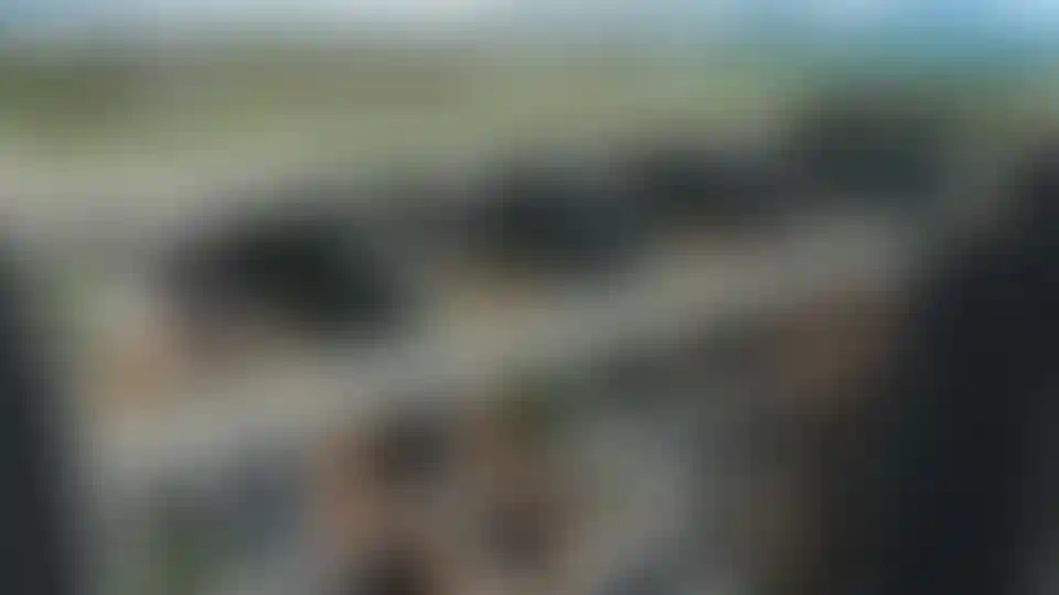 image for main block