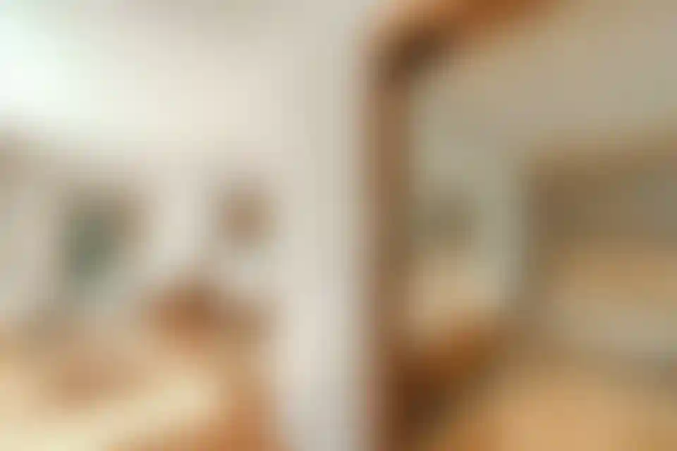 image for main block