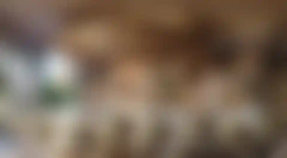 image for main block